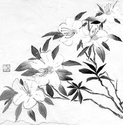 White Flowers in Midnight